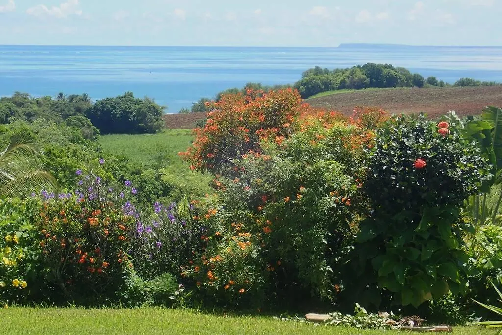 Hébergement de vacances Tikazbleue 2024 Maison Entiere Chez L'Habitant Sainte-Rose Guadeloupe